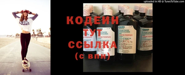 Альфа ПВП Бородино