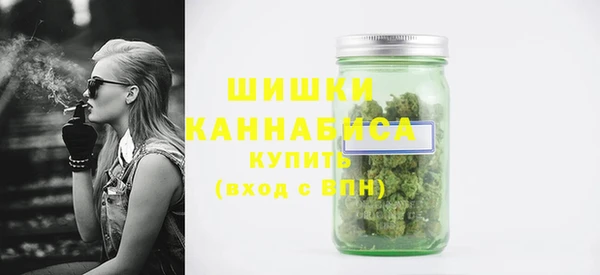 Альфа ПВП Бородино