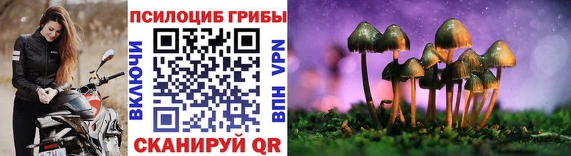 Галлюциногенные грибы Magic Shrooms  даркнет сайт  Каменск-Шахтинский 